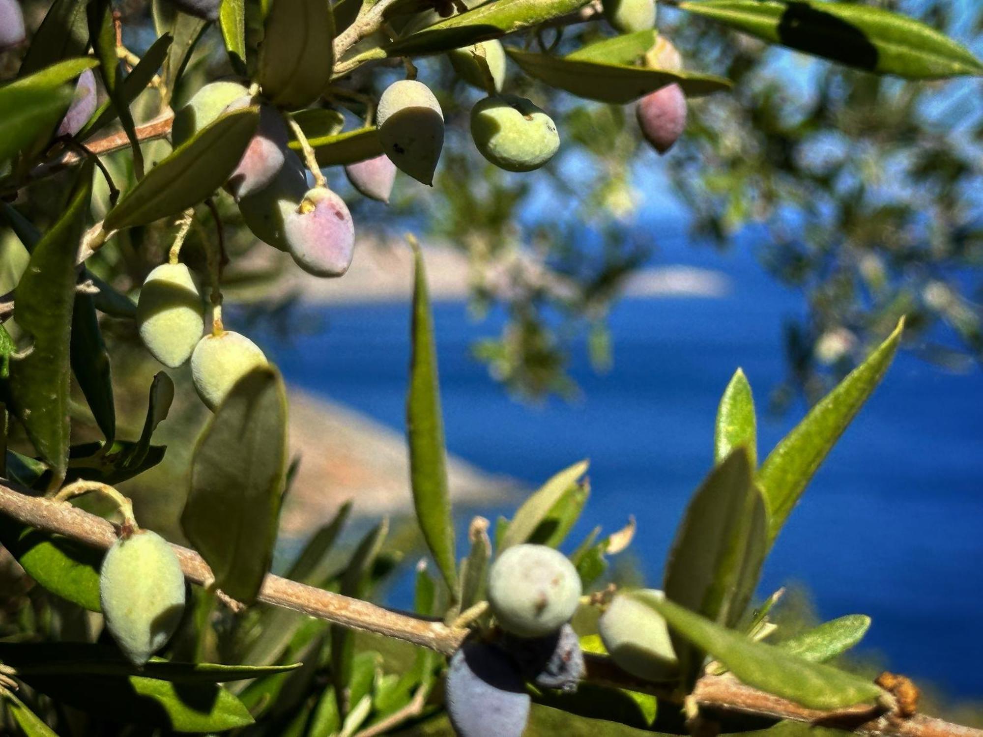 Maison Meltem Agia Pelagia  Exterior foto